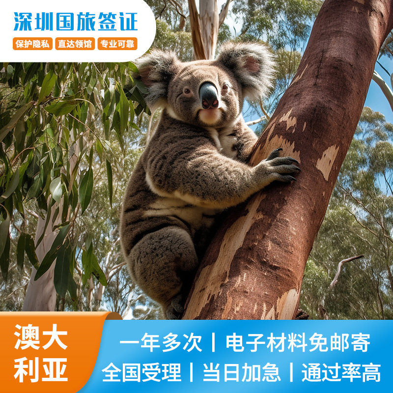 澳大利亚签证