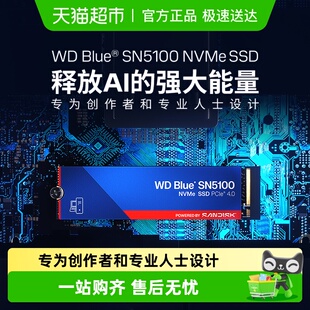 E4.0高速传输全新 闪迪SN5100固态硬盘M2接口PCI