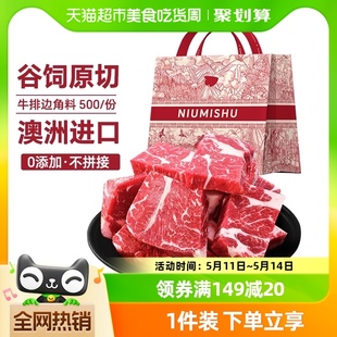 2烧烤 牛秘书进口谷饲原切牛排边角料500g 纯肉 牛肉批发