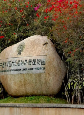 [中国科学院西双版纳热带植物园-大门票+西区游览车]刷身份证或二维码入园