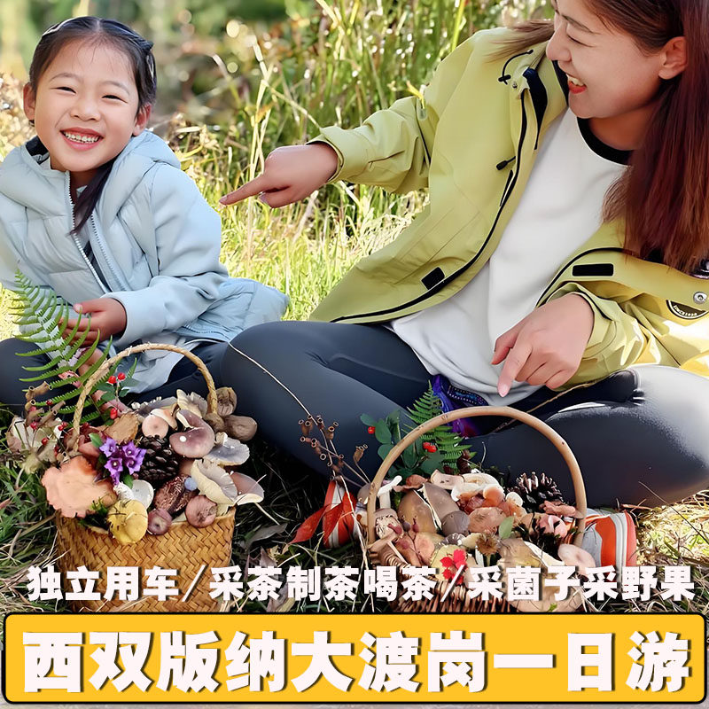 【徒步+野生菌土鸡火锅】西双版纳大渡岗采茶制茶采菌子一日游