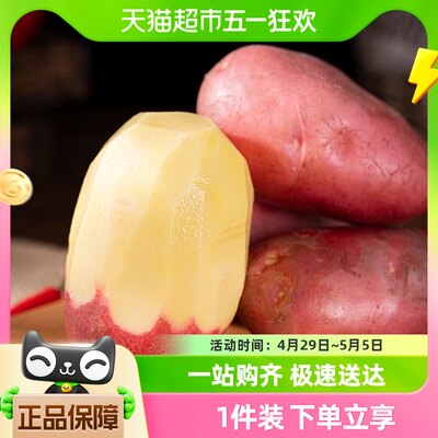 云南新鲜现挖红皮土豆1.5kg×1箱