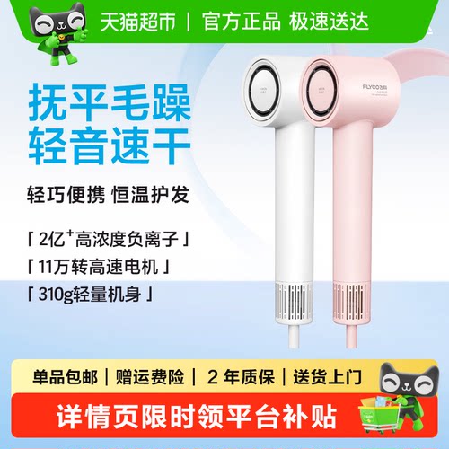 飞科负离子护发吹风机送女友
