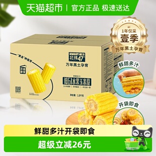 北纬47度水果玉米段开袋即食1.8kg 东北新鲜甜玉米 1箱真空包装