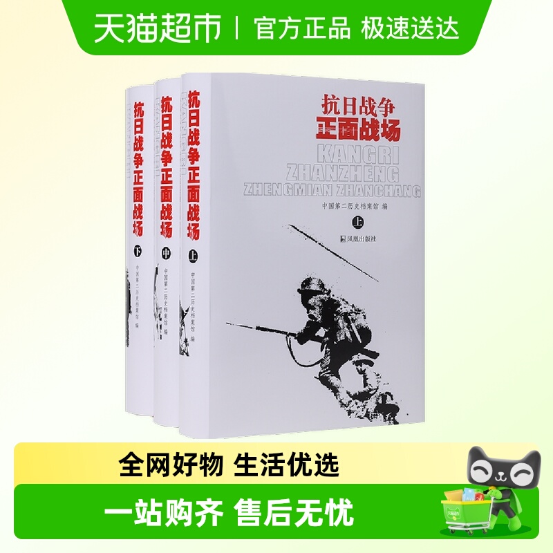 抗日战争正面战场全3册中国历史