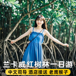 中文丨兰卡威红树林地质公园一日游蝙蝠洞海上渔村喂老鹰落日巡航