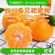 四川春见耙耙柑果肉饱满无籽清甜多汁超润喉新鲜水果应季鲜货