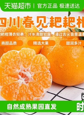 四川春见耙耙柑果肉饱满无籽清甜多汁超新鲜水果应季鲜货