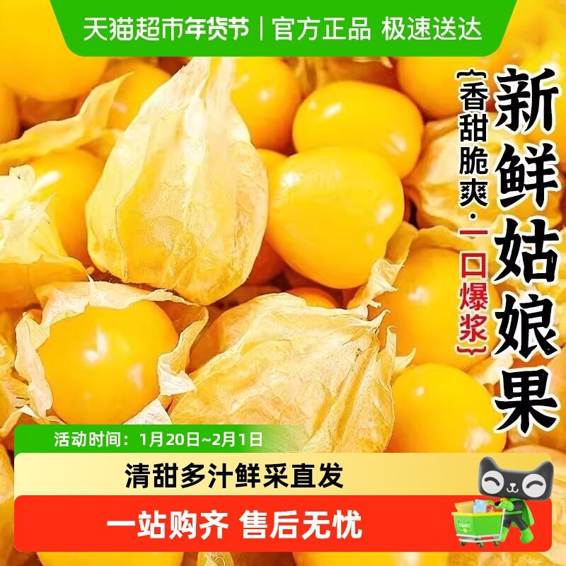 寻天果蔬云南姑娘果特大应季灯笼果水果新鲜现货甜菇娘果当季整箱,水产肉类/新鲜蔬果/熟食,其它,淘宝优惠券,粉丝福利购,淘宝优惠卷