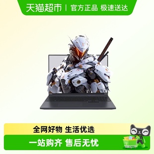 1TB 16G 高性电竞能办公笔记本 14650HX满血5060 机械革命极光Xi7