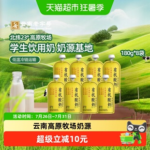 云南乍甸有机酸奶180g*12袋低温酸奶8种益生菌学生儿童营养早餐奶