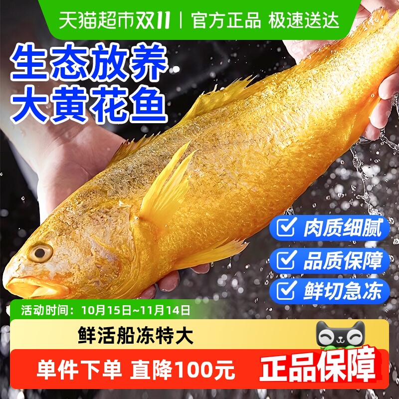 卖鱼郎先生大黄鱼青岛产地直发