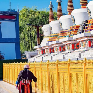 【8人拼小团·含门票】塔尔寺+青海湖+日月山+拉脊山