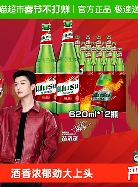 大红乌苏新疆啤酒620ml*12瓶整箱装特价批发高度啤酒百城