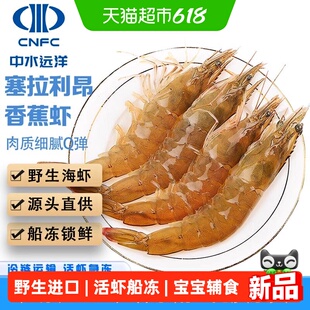 中水远洋塞拉利昂野生香蕉虾海捕船冻锁鲜白虾大虾净重