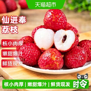 广东仙进奉荔枝应当季新鲜时令水果桂味妃子笑荔枝王茂名现摘现发