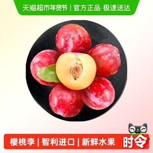 智利进口樱桃李果肉脆嫩饱满紧实当季鲜果新鲜水果