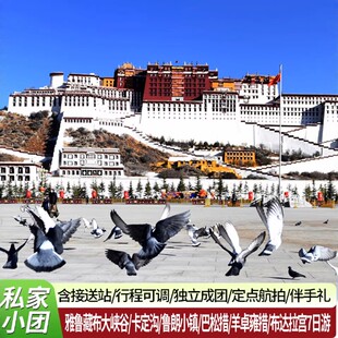 拉萨林芝山南 大峡谷/布达拉宫/羊卓雍措7天6晚 独立成团