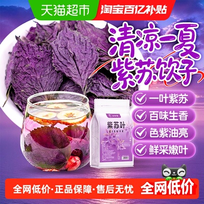 甄选紫苏叶大片新货晒干香味浓郁