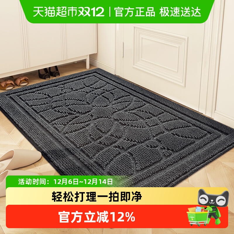 大江入户门地垫进门玄关垫