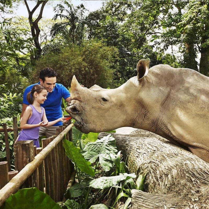 [曼谷野生动物园-野生动物园+海洋公园+自助午餐]曼谷野生动物园双园门票+自助餐