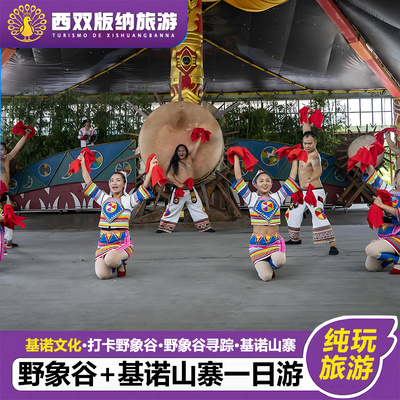 【一单一团】云南西双版纳旅游野象谷+基诺山寨纯玩一日游