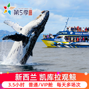 新西兰旅游凯库拉观鲸之旅Whale Watch Kaikoura游船