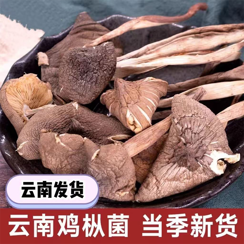 野生鸡枞菌干货云南特产装新货烘干鸡纵火把菇煲汤美食用农产品