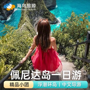 海鸟自营佩尼达岛一日游蓝梦岛海钓浮潜精灵坠崖环岛包车巴厘岛