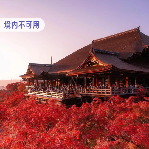中国移动韩国日本漫游包流量