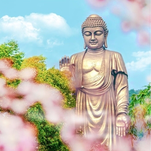 无锡灵山胜境（灵山大佛）梵宫九龙灌浴门票祈福一日游