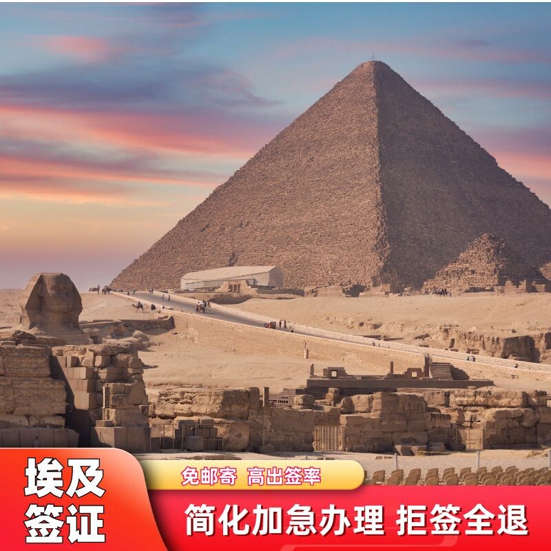 埃及签证 单次多次电子签旅游签证 加急简化办理