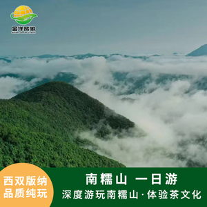 西双版纳南糯山包车一日游 采茶+制茶 沉浸式茶农体验