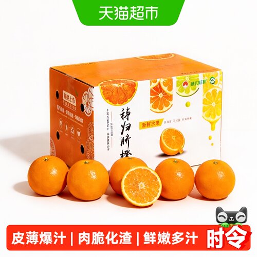湖北秭归伦晚脐橙
