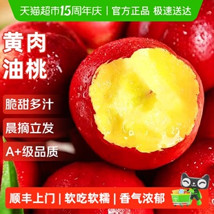 红皮黄肉油桃应当季新鲜水果桃子油桃毛桃蜜桃脆甜整箱