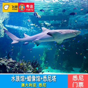 [悉尼海洋生物水族馆-四选二联票]悉尼水族馆/悉尼野生动物园/悉尼杜莎夫人蜡像馆/悉尼塔门票