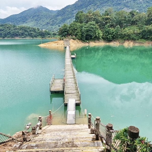 [流溪河国家森林公园-大门票]流溪河国家森林公园门票成人票