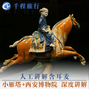西安博物院小雁塔人工讲解半日跟团游含门票可选15人精品小团