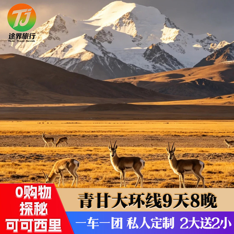 【暑假亲子可可西里2大2小私家团】西北青海旅游青甘大环线9天8晚