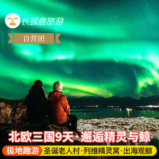 【四星团】芬兰挪威瑞典9日破冰轮|特罗姆瑟出海观鲸|圣诞老人村