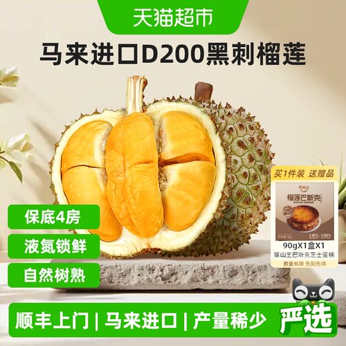 市舶士马来西亚液氮冻黑刺榴莲