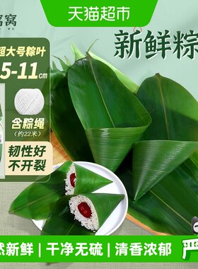 鲜窝窝超大号粽叶箬叶包粽子用