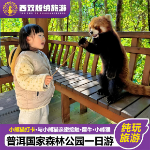 普洱出发/西双版纳出发 云南普洱太阳河国家森林公园纯玩一日游