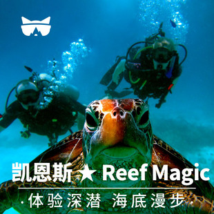懒猫旅行 澳大利亚凯恩斯大堡礁出海 深潜 海底漫步 教练带领浮潜