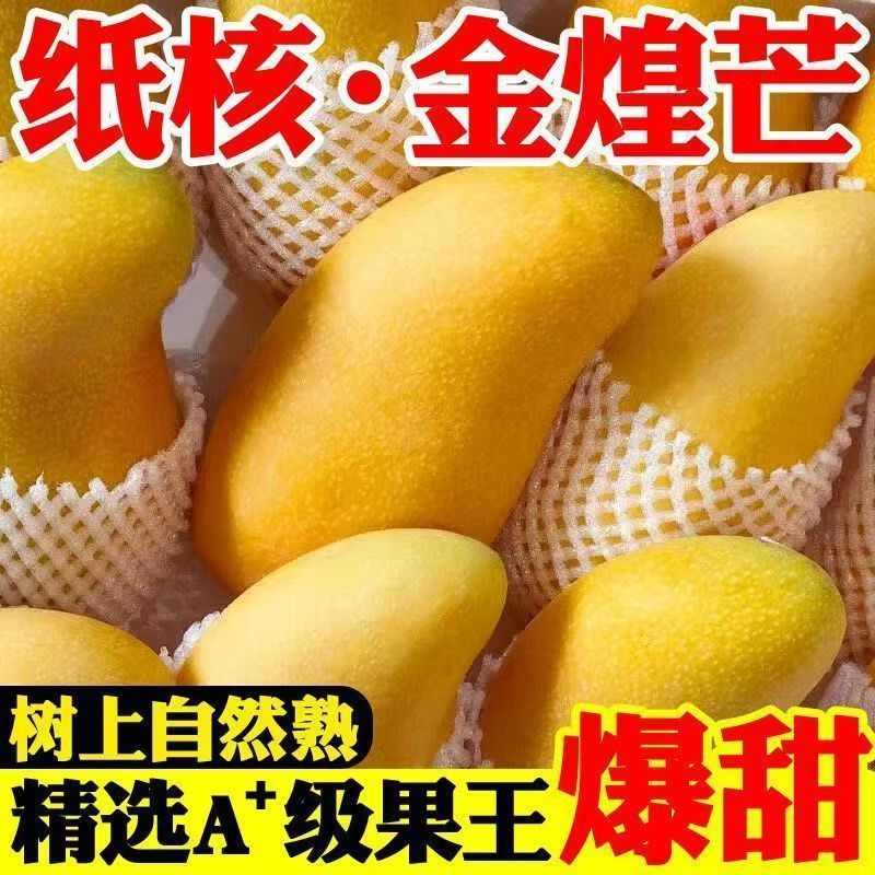 金煌芒爆甜新鲜水果树上熟正宗金煌芒抗寒无公害香甜多汁纸核