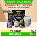 五谷磨房高蛋白五黑黑豆浆粉营养早餐懒人健康代餐粉豆奶无添加