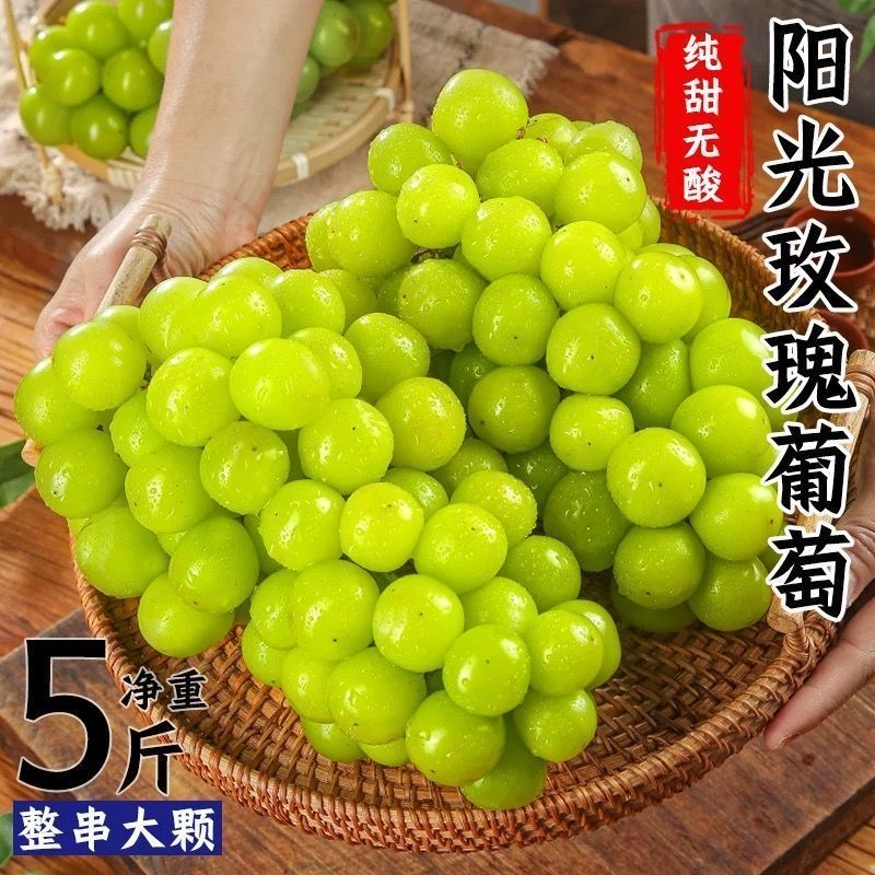 当季新鲜水果阳光玫瑰葡萄无籽葡萄特级提子青提当季新鲜水果香甜