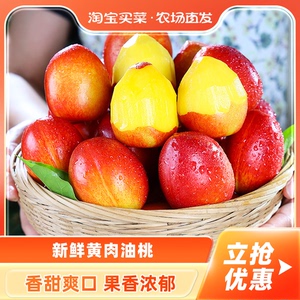 新鲜红皮黄肉油桃现摘黄肉脆桃子当季桃子黄心油桃时令脆桃