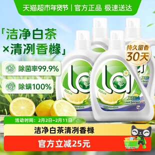 威露士La自然清新洗衣液6L白茶晨露（香橼）除菌除螨温和洁净
