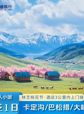 西藏林芝一日游 雅鲁藏布大峡谷巴松措 纯玩林芝出发跟团游